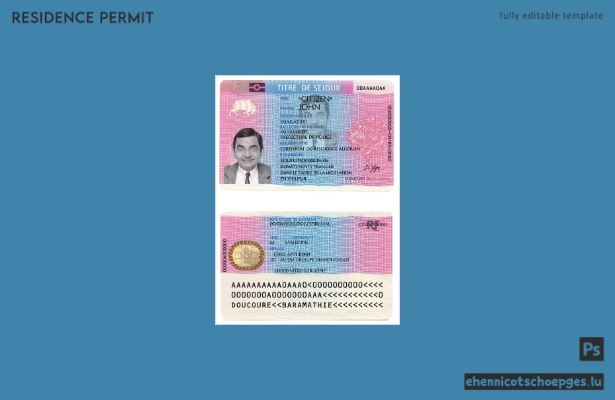 Beispiel für eine französische Aufenthaltsgenehmigung
